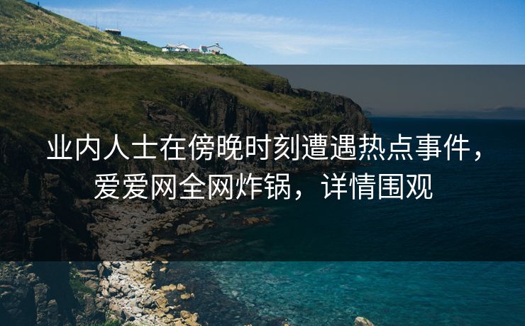 业内人士在傍晚时刻遭遇热点事件，爱爱网全网炸锅，详情围观