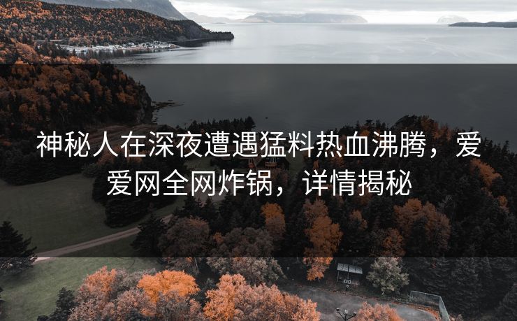 神秘人在深夜遭遇猛料热血沸腾,爱爱网全网炸锅,详情揭秘 神秘人在深夜遭遇猛料热血沸腾,爱爱网全网炸锅,详情揭秘