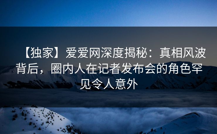 【独家】爱爱网深度揭秘:真相风波背后,圈内人在记者发布会的角色罕见令人意外