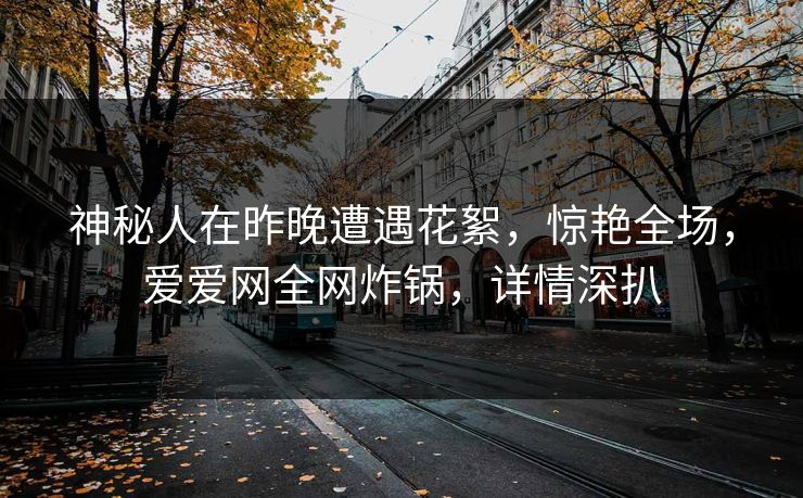 神秘人在昨晚遭遇花絮，惊艳全场，爱爱网全网炸锅，详情深扒