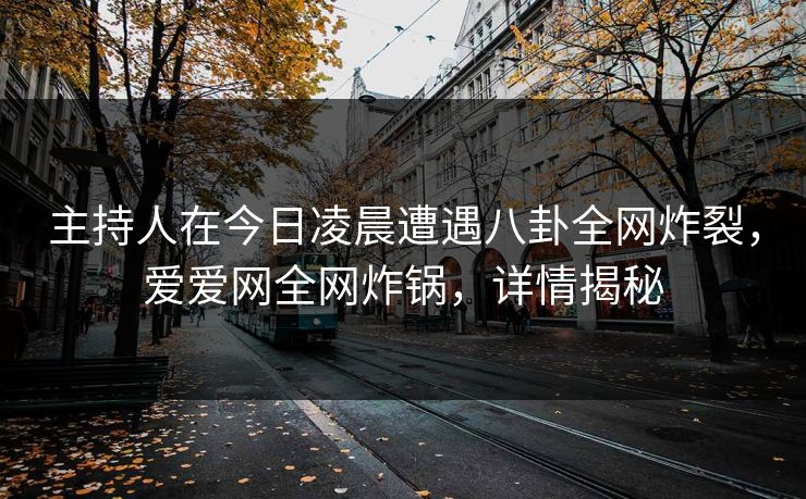 主持人在今日凌晨遭遇八卦全网炸裂,爱爱网全网炸锅,详情揭秘