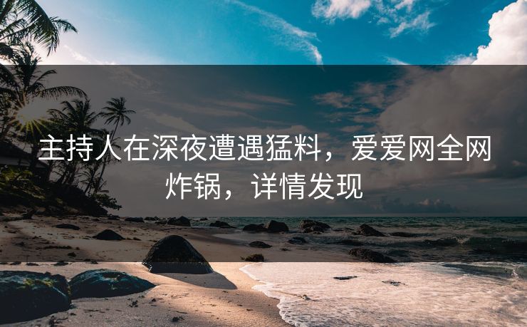 主持人在深夜遭遇猛料,爱爱网全网炸锅,详情发现