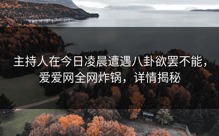主持人在今日凌晨遭遇八卦欲罢不能,爱爱网全网炸锅,详情揭秘
