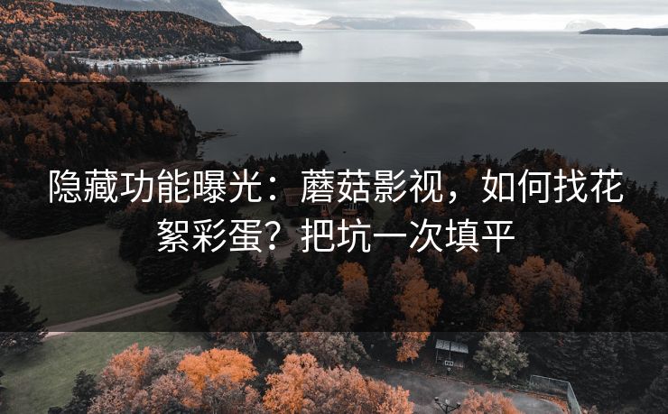 隐藏功能曝光:蘑菇影视,如何找花絮彩蛋?把坑一次填平